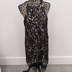 Express Black Lace Midi Dress